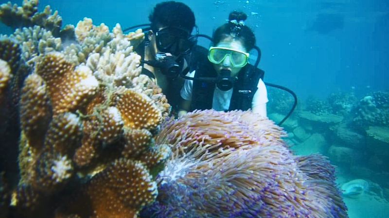 Sunrise journey - SUP rowing & diving to see coral reefs in Son Tra (2)